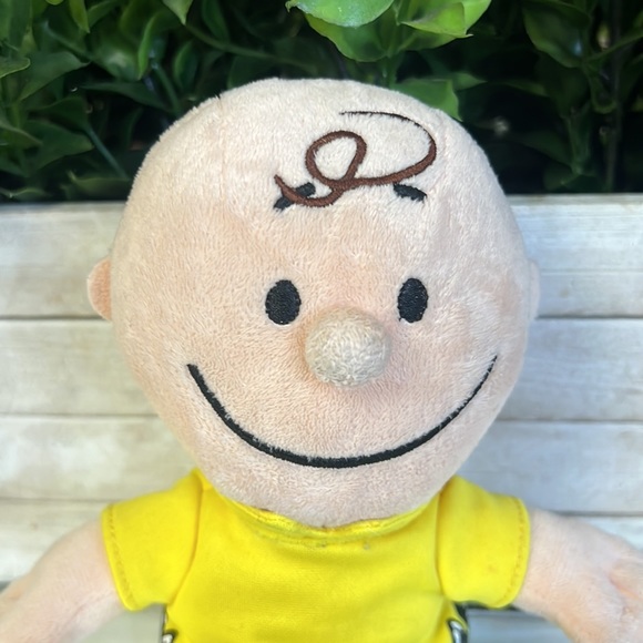 Charlie Brown plush - Picture 3 of 10
